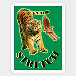 Stretch exercise by a tiger and a cat - black text Magnet